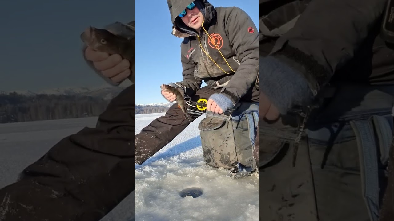 Ice Fishing at NorSjø