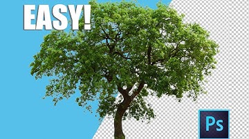 How to REMOVE Backgrounds with COLOR RANGE Tool in Photoshop! Easy and Fast Tips for Beginners!