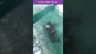 This Man Got Lost Under The Ice