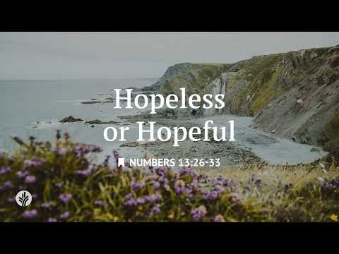 Hopeless or Hopeful