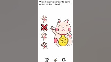 BRAIN OUT LvL - 5 #brainout