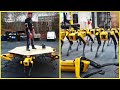Robot Dog Spot: What Futuristic Things Can it ACTUALLY Do? (Boston Dynamics)