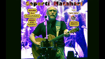 Iwan Fals feat. Daramuda Project "Seperti Matahari" konser "Ak u Cinta" Ecopark Ancol 30 Mare