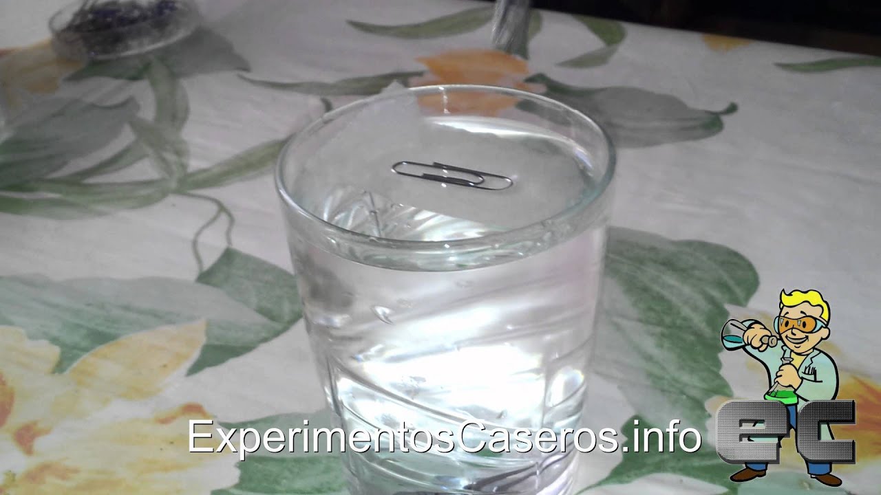 El clip flotante - La tensión superficial del agua (Experimentos Caseros) -  YouTube