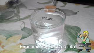 El clip flotante - La tensión superficial del agua (Experimentos Caseros)