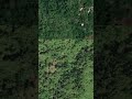 Massive Landslide in Jamaica Captured by Satellite | January 2026