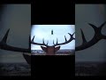 If Rudolph Had A GoPro If Rudolph Had A GoPro