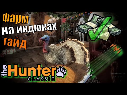 Видео: Гайд По Фарму На Индюках Из Засидки The Hunter Classic