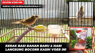 Emang Gila Ini Voerkerak Basi Ombyokan Baru 4 Hari Langsung Bocoorr