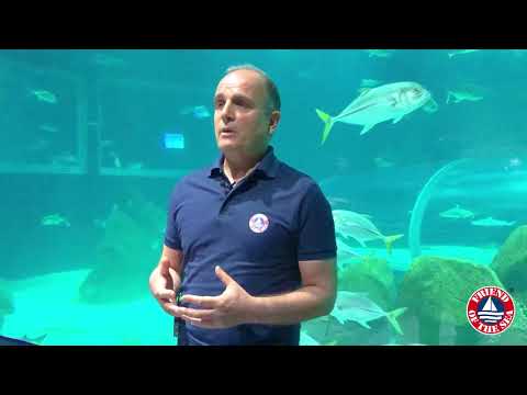 AquaRio, the largest