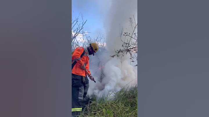 Um dia de combate aos incêndios florestais em Minas Gerais