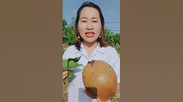 Cây thuốc - công dụng trái dừa và lá trầu #shorts #thanhdongvlog