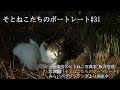 ～そとねこたちのポートレート#31～