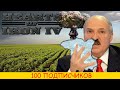 Великий Суд Лукашенко над колорадами в HoI4 [Видео на 100 подписчиков]