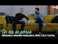 Fernando Grande-Marlaska presenta a Pepa, Tula y Lucas | #3 | Un día de perros con Dani Rovira