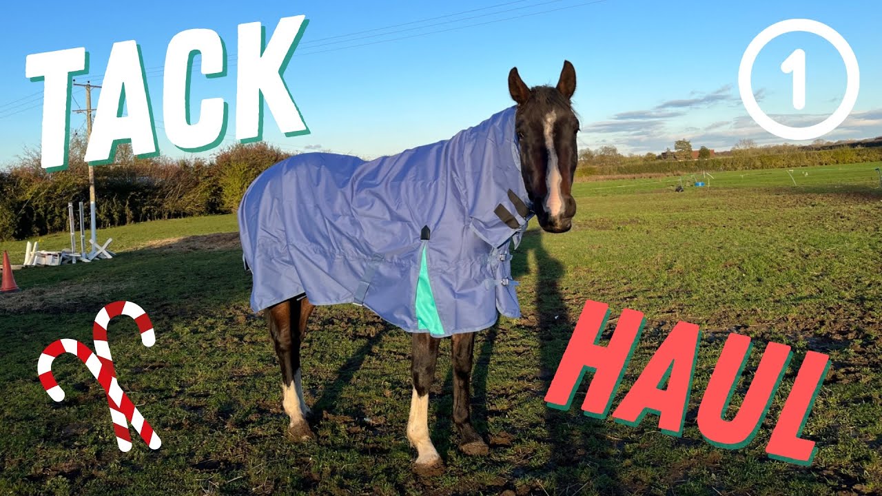 A HUGE TACK HAUL Vlogmas Begins!! tarabrowneventing YouTube