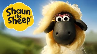 Two's Company | Shaun the Sheep | S2 Full Episodes