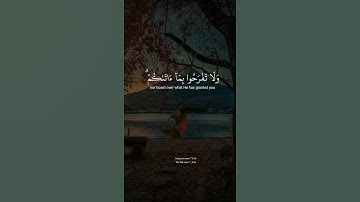 قران كريم - تلاوة مؤثرة / فديدوهات قصيره حالات وت ساب /القارئ شريف مصطفى
