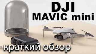 DJI MAVIC mini краткий обзор