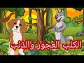 الكلب العجوز والذئب كرتون للأطفال حكاية جميلة رسوم متحركة