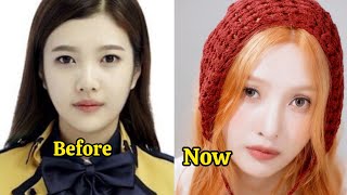 Information Red Velvet Before vs Now (2014–2026) | Then & Now Transformation | K-Pop Update