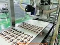 Biscuit Chocolate Decoration Moulding Line
