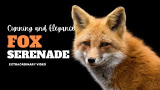 Fox Reverie: In the Heart of the Enchanted Woodlands