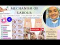 Mechanism of labour  key terminologies related to mechanism of labour  terminology of labour