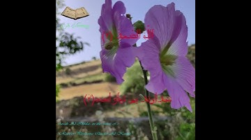 سوره اخلاص با ترجمه فارسی