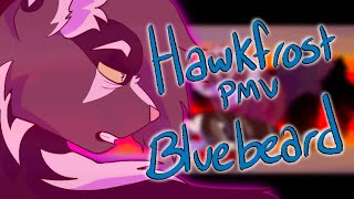 Hawkfrost PMV  Bluebeard