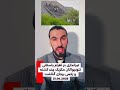 تیراندازی در اهرام باستانی تئوتیواکان مکزیک چند کشته و زخمی برجای گذاشت    اكسبلور