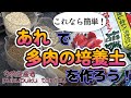 「あれ」を使って、簡単に「多肉の培養土」を作ってみよう！　　多肉生産者「pukupuku taniku」