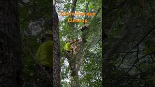 Storm damage cleanup! Tree work #brushbandit #sthilchainsaw #fordtrucks #stormdamage #treeworker