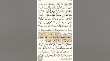 سورة البقره من ٢٤ إلي ٢٩
