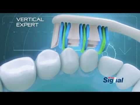 Yeni Signal Vertical Expert Diş Fırçası ile Daha Etkili Temizlik