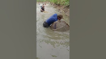 Nơm cá chép khủng #fishing #nomca