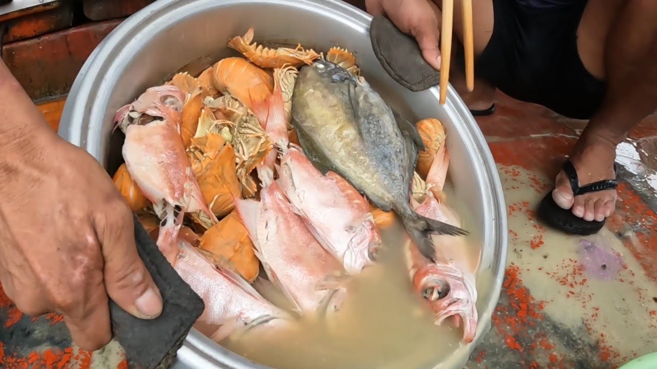 Kết Quả Sau Cơm Mưa Ròng Rã Là Bữa Cơm Ngon Và Chất Lượng | Anh Ngư Phủ ...
