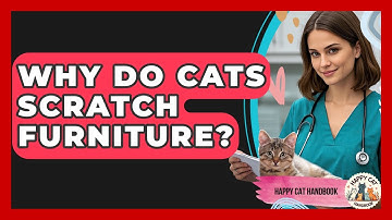Why Do Cats Scratch Furniture? | Happy Cat Handbook