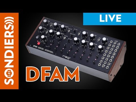 MOOG DFAM - Premières minutes en live / démo