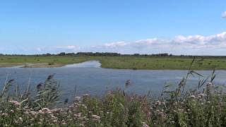 Natte Graslanden, Almere, The Netherlands, 2012