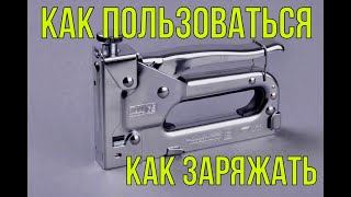 :   |  