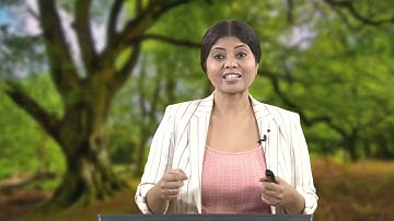 Lecture 31: EIA Methods - Air Assessment (Part I) #swayamprabha #ch28sp