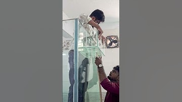 Overflow box for Marine aquarium #overflowbox #aquarium #tamil #tn #tirunelveli #aquariumtank #nemo