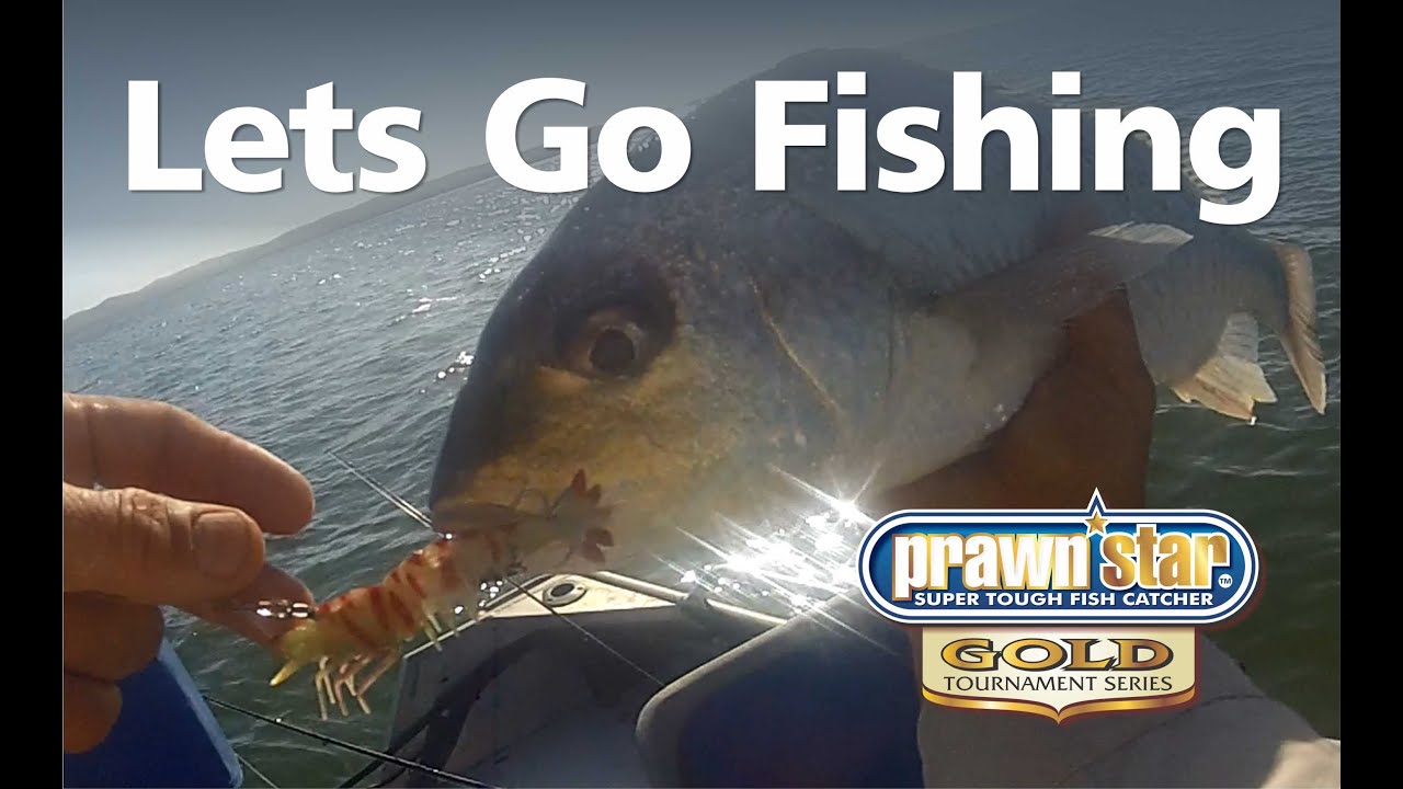 Lets Go Fishing Prawnstar GOLD