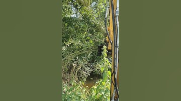 3 ton Forestry Excavator and Tree Shear