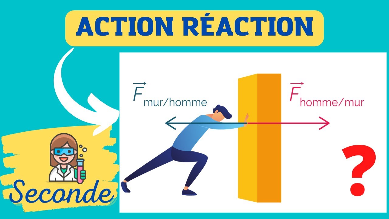 Les notions de forces réciproques d'action/réaction – Scientimômes