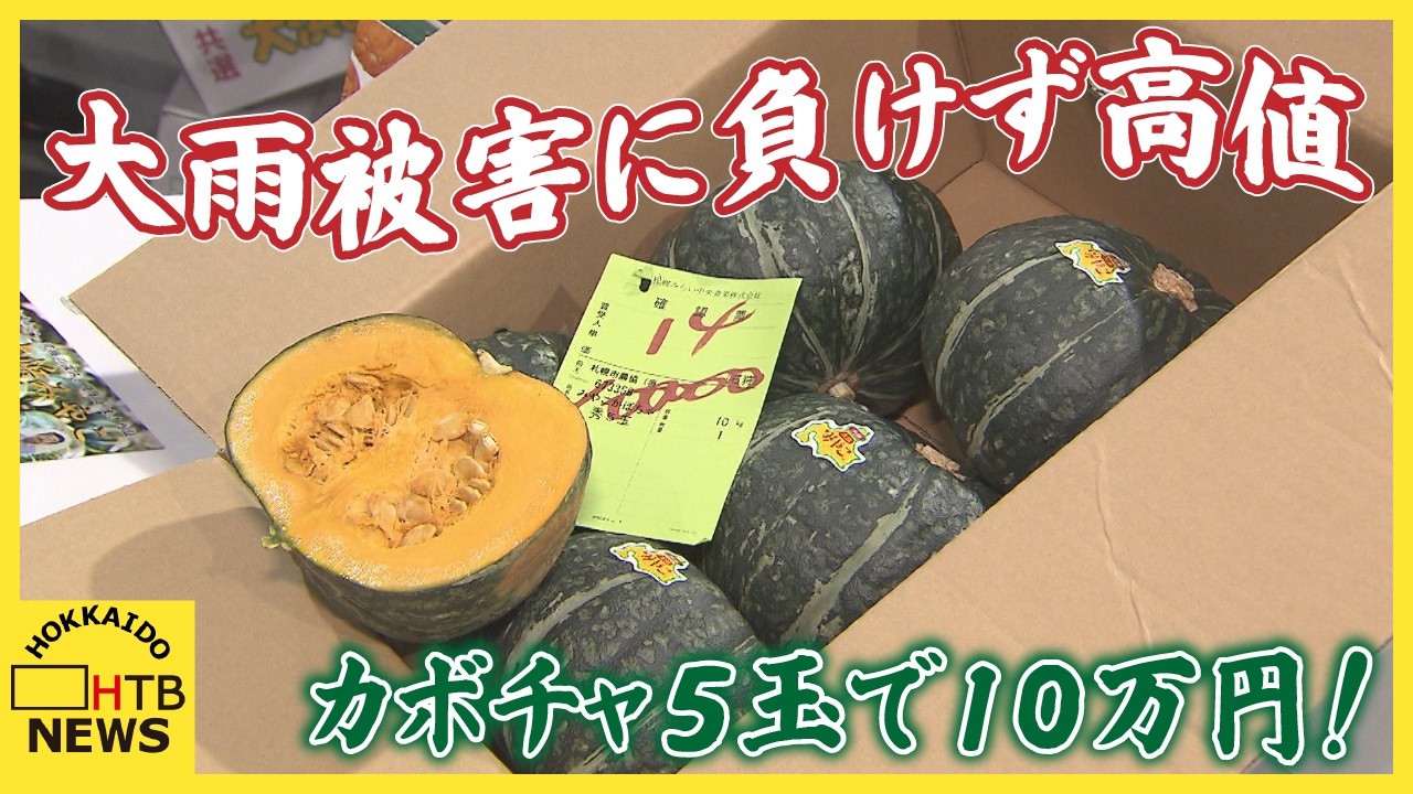 5玉で10万円！大雨被害に負けず…札幌産ブランドカボチャ「大浜みやこ