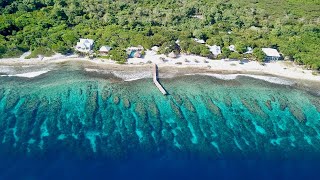 Utopia Village, Utila - Live Stream from Underwater Cameras