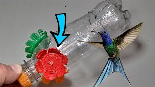 How to Attract a Lot of Hummingbirds Making a Home Drinking Drink for Hummingbirds