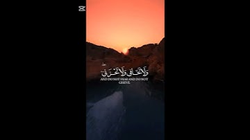 القرآن الكريم#الشيخ ياسر الدوسري#تلاوة خاشعه#المصحف